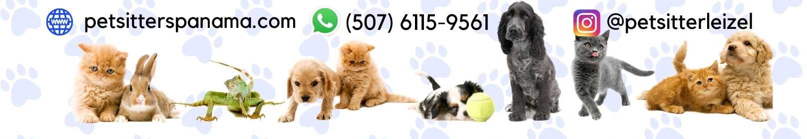 Pet Sitter Leizel 
